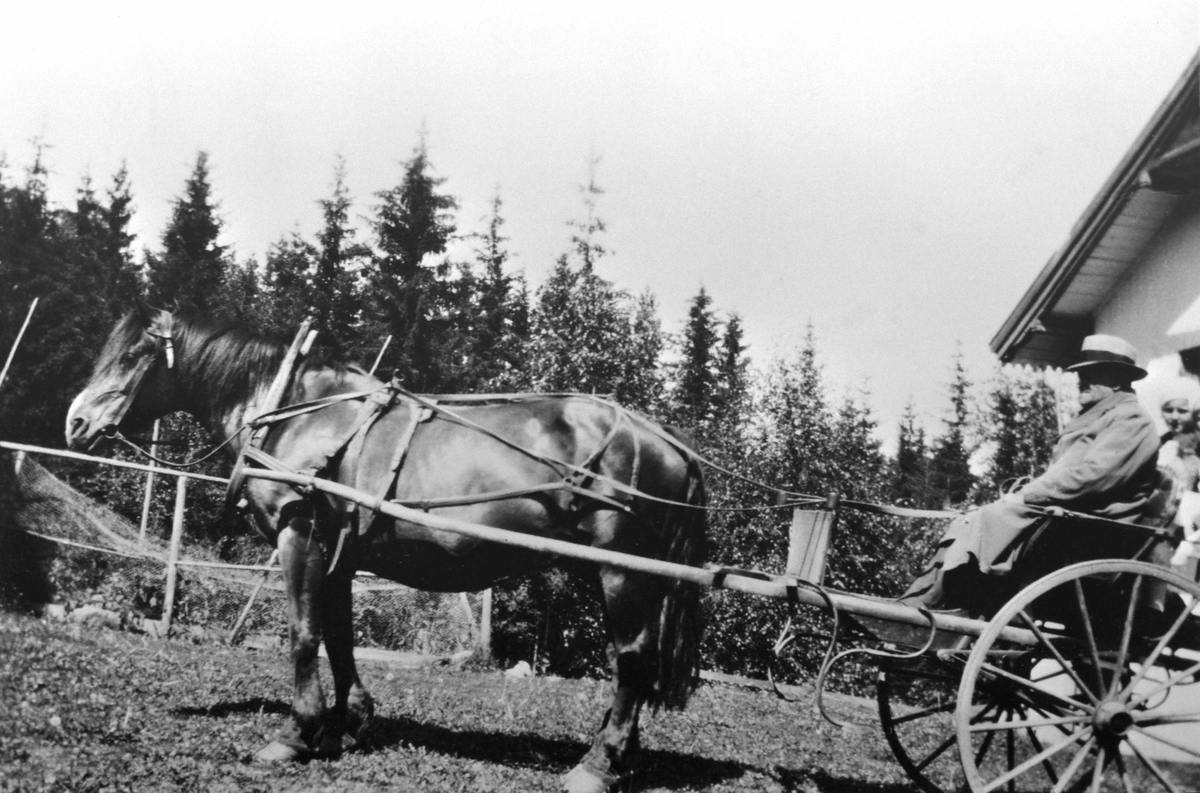 Anno Domkirkeodden, Ordfører Karl Røhrsveen med hest og karjol på Røhrsveen, Ringsaker.