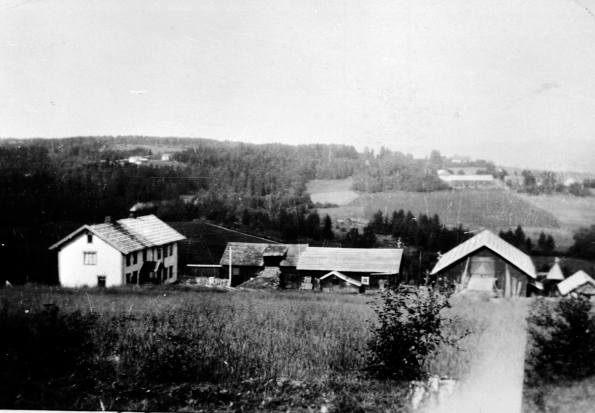 Anno Domkirkeodden, Oversikt Austby gård, Ringsaker.
