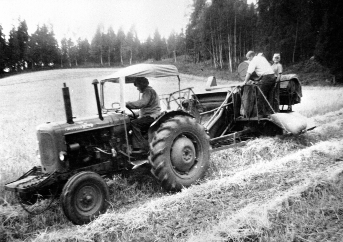 Anno Domkirkeodden, Skuronn på Stenseng gård, Ringsaker. Traktor med slepetresker. Andreas og Sigurd Stenseng.