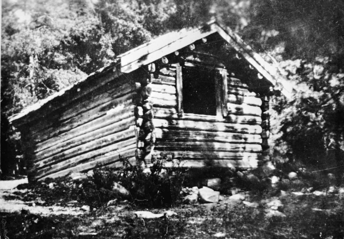 Anno Domkirkeodden, Furusetstua på Trosterud, Helgøya. Bygd i 1860-åra.