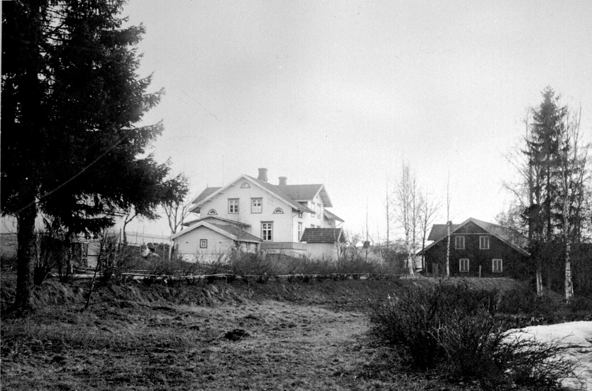 Anno Domkirkeodden, Eksteriør, Mokvern mølle til høyre, bolighus, Dæli, Moelv.