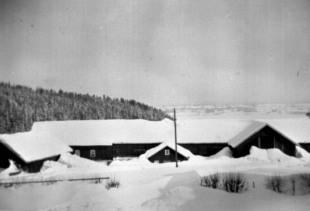 Anno Domkirkeodden, Gamle låven og fjøset på Eik, Helgøya som brant ned i 1952. Vinterbilde. Mjøsa og Stangelandet i bakgrunn.