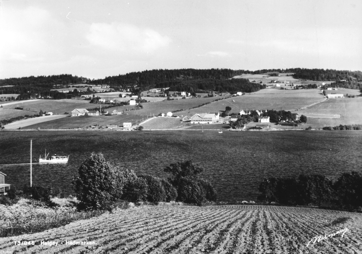 Anno Domkirkeodden, Utsikt over Nessundet mot Helgøya. M.S. på vei inn til brygga på Tingnes.