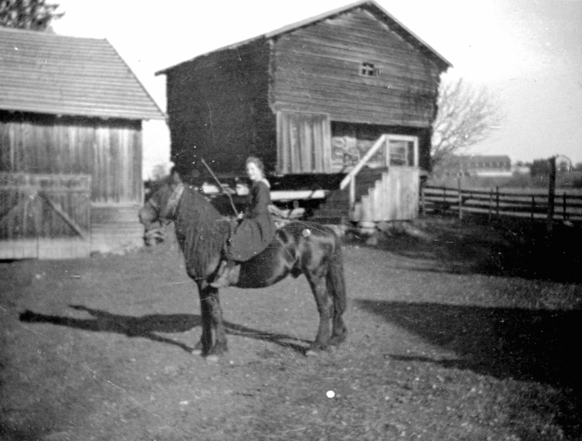 Anno Domkirkeodden, Gardstun på Steinsrud, Ringsaker. Dame på hest foran stabbur.