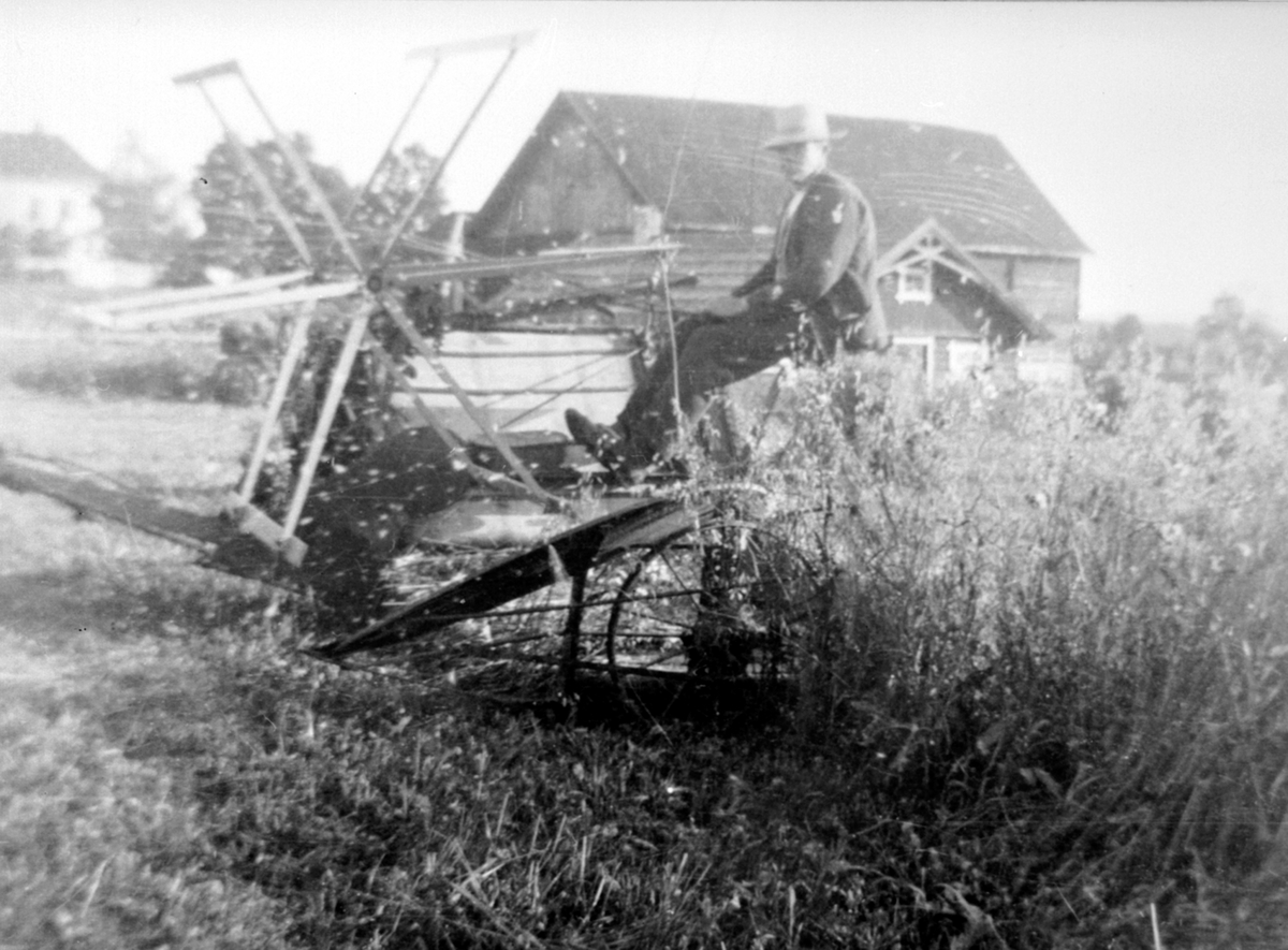 Anno Domkirkeodden, Skuronn på Skjønsby gård, Ringsaker. Ole M. Skjønsby på selvbinder i kornåker.