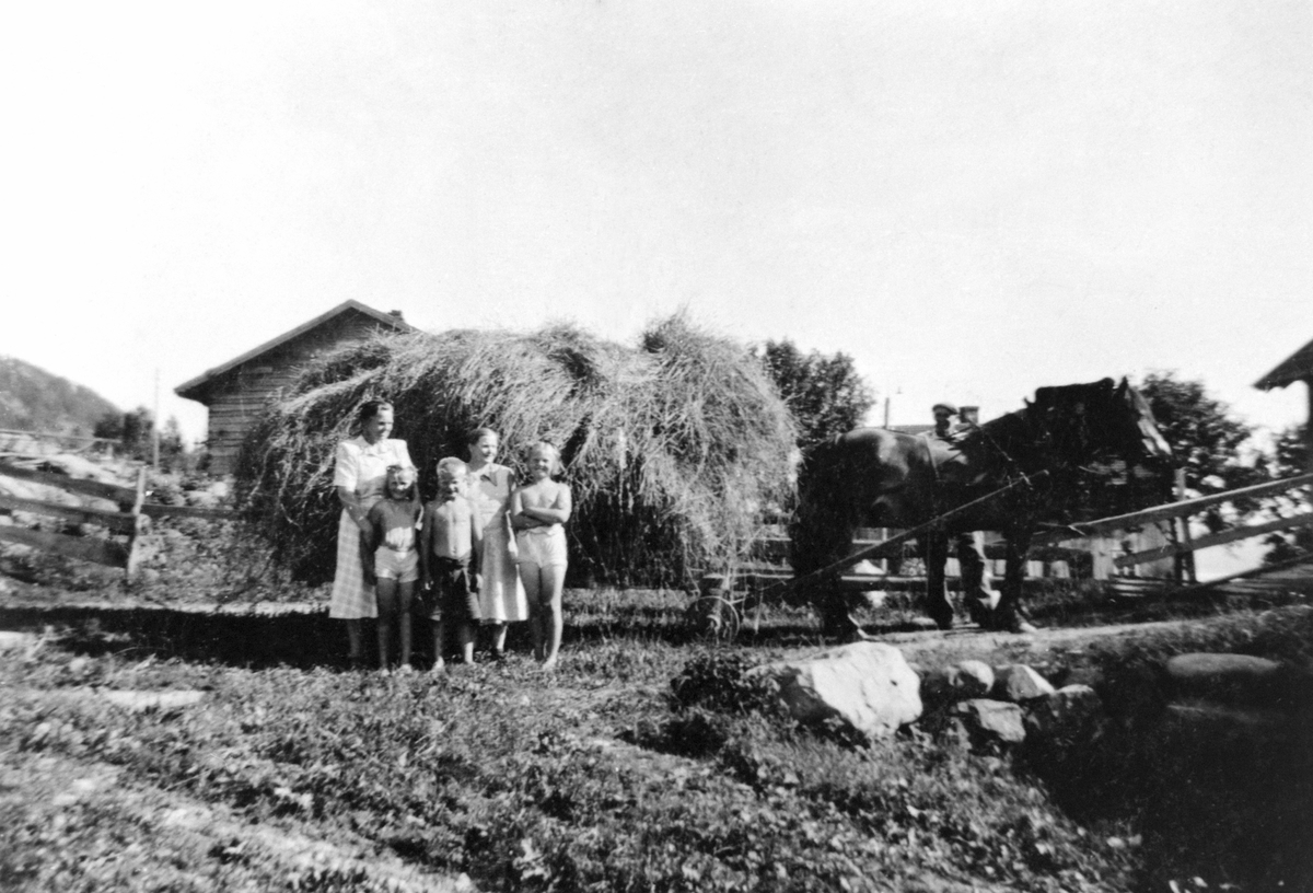 Anno Domkirkeodden, Slåttonn på Sveen, Veldre, Ringsaker. Hest med høyvogn. Fra venstre er Gunda Larsson, Helen Olsen, Håkon Gropen, Matea Gropen, Astrid Gropen.