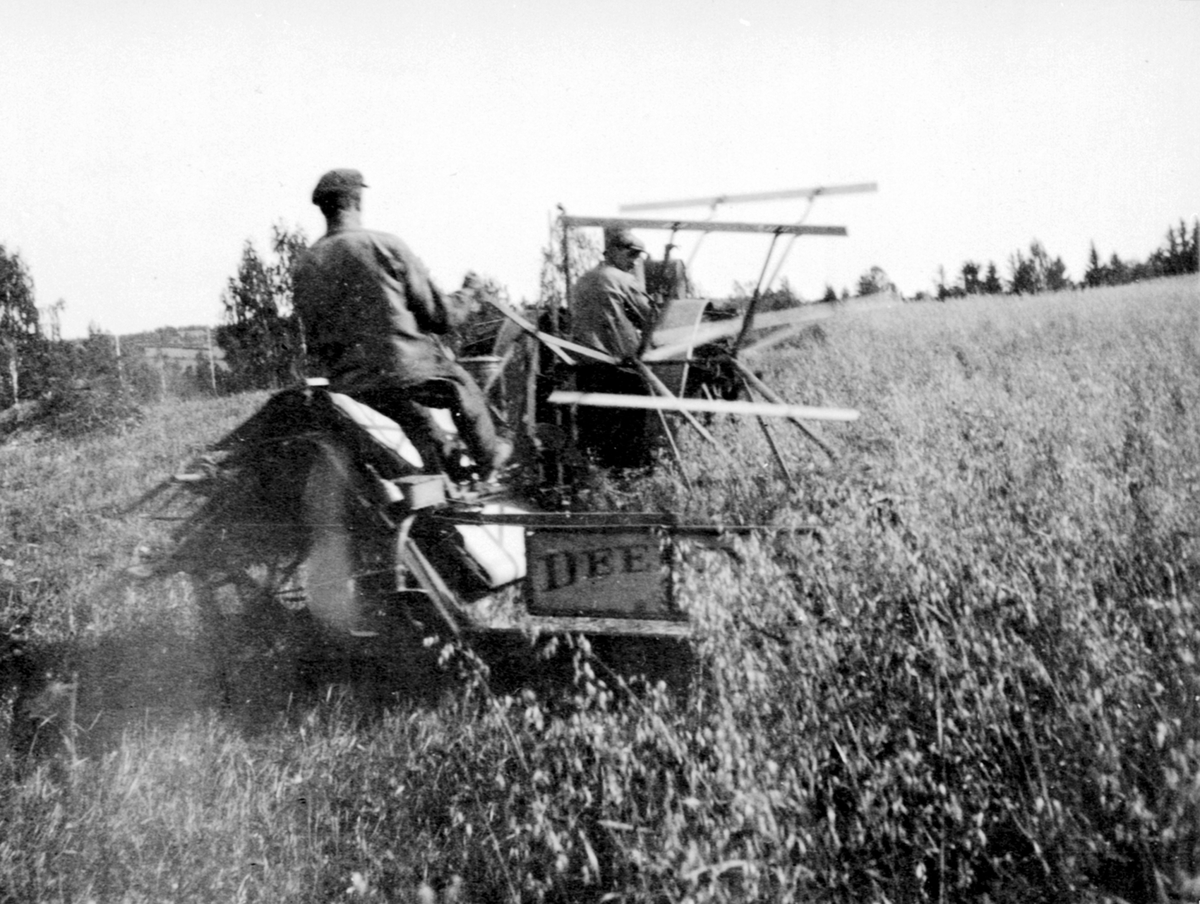 Anno Domkirkeodden, Skuronn på Samsal gård, Ringsaker. Deering selvbinder trukket av Fordson traktor (eller Munktells 20-24).