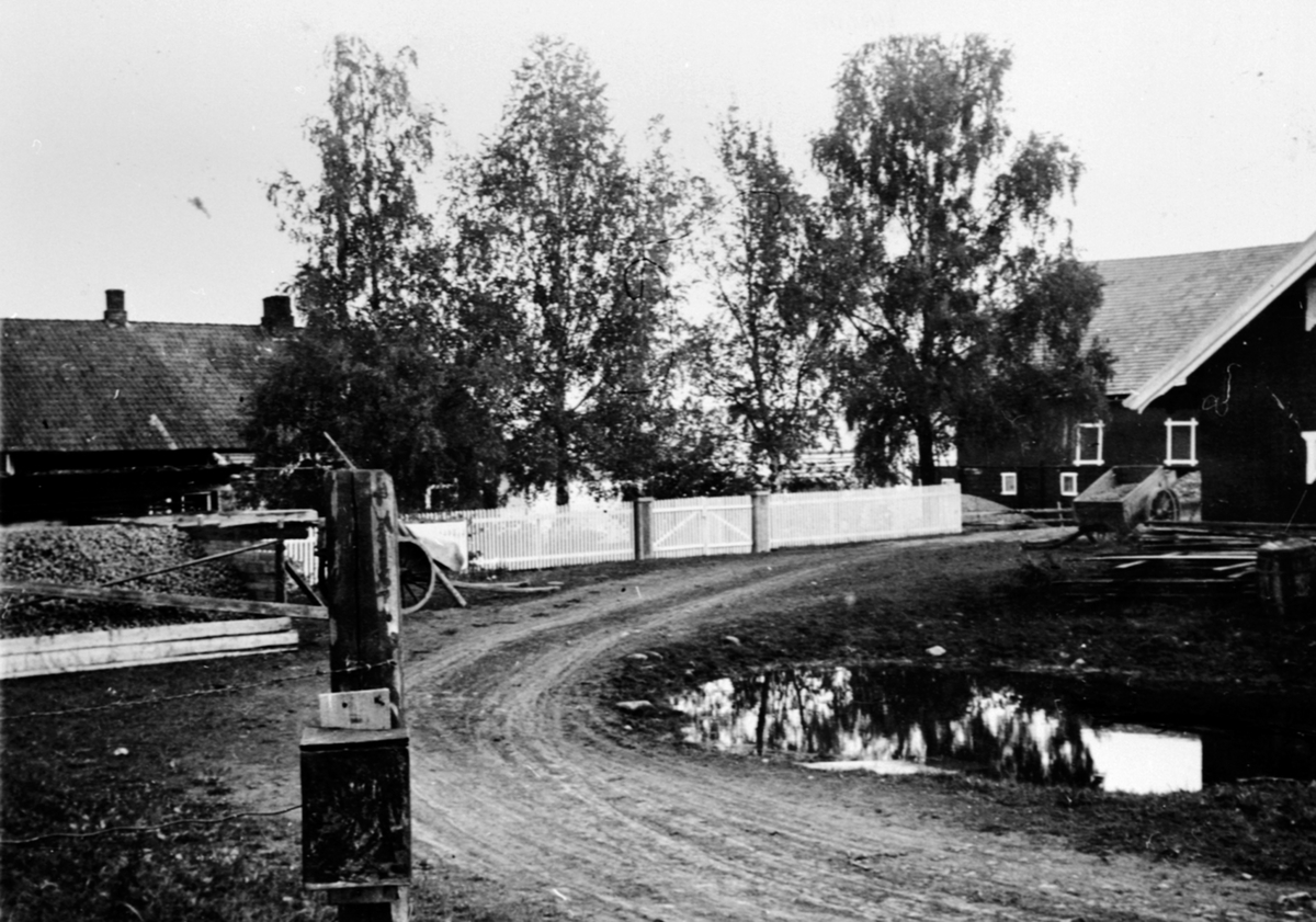 Anno Domkirkeodden, Gardstunet på Øvre Sund, Helgøya.