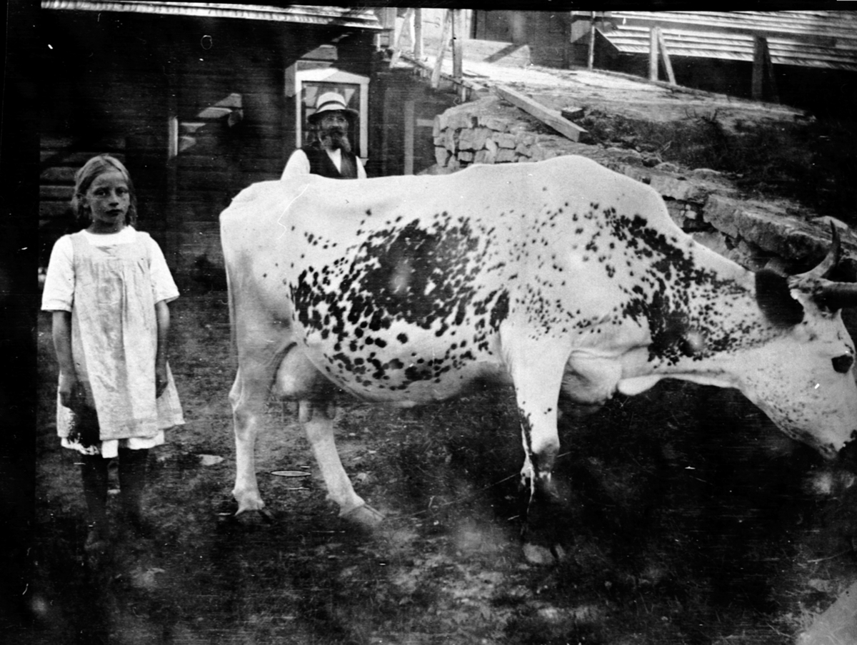 Anno Domkirkeodden, Telemarksku utenfor fjøset på Vien, Helgøya. Johanne Narmo f.1910 sammen med morfar Olaus Jensen Narmo (1861-1950).