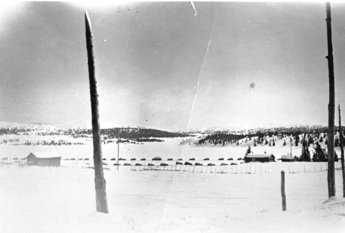 Anno Domkirkeodden, Parkerte biler på isen på Sjusjøen, påsken 1939, Ringsakerfjellet.