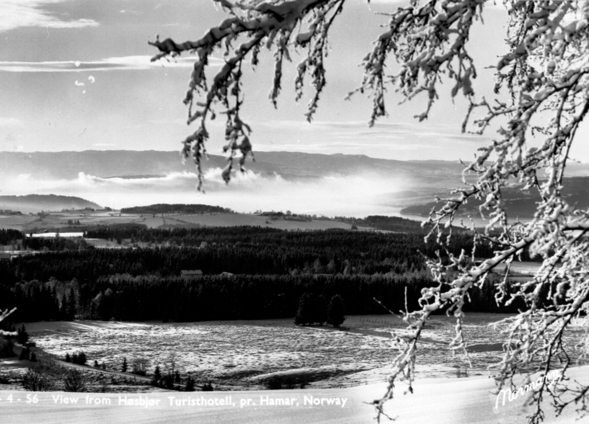 Anno Domkirkeodden, Utsikt fra Høsbjør mot Furnesfjorden, landskap, frostrøyk, vinter.