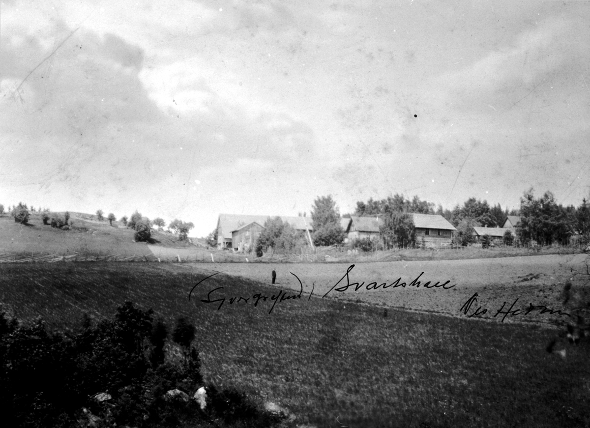Anno Domkirkeodden, Eksteriør, gardsbruk, Svartshoel, Nes, Hedmark.