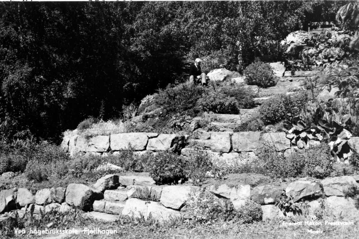 Anno Domkirkeodden, Vea Hagebruksskole, Fjellhagen. Postkort. Foto Håkon Prestkværn, Moelv. Statens hagebruksskole, Ring.