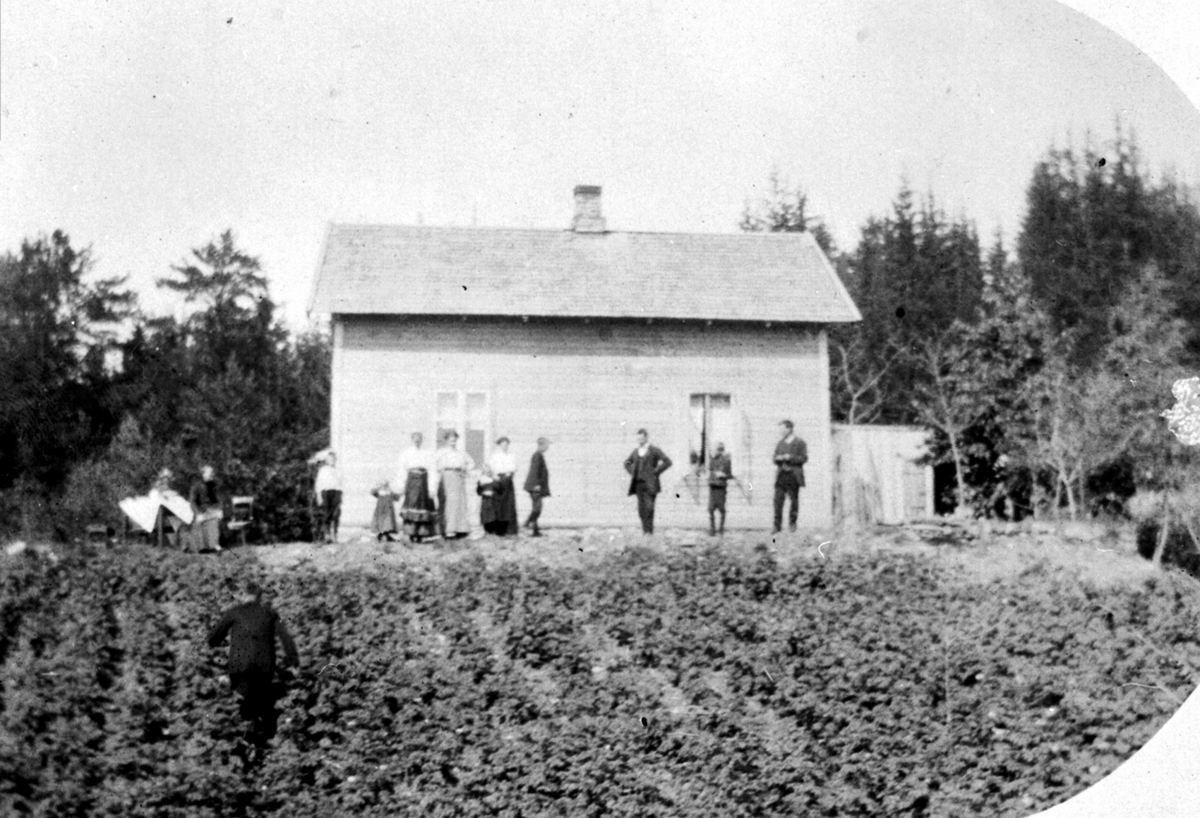 Anno Domkirkeodden, Bolighuset i Haugom, Helgøya. Potetåker nedenfor huset. Mange personer utenfor huset.