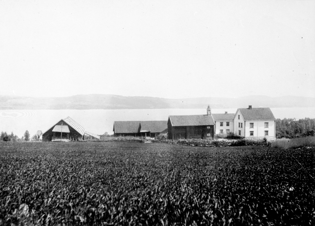 Anno Domkirkeodden, Eksteriør, gardsbruk, Nerlien, Lien nedre, Nes, Hedmark.