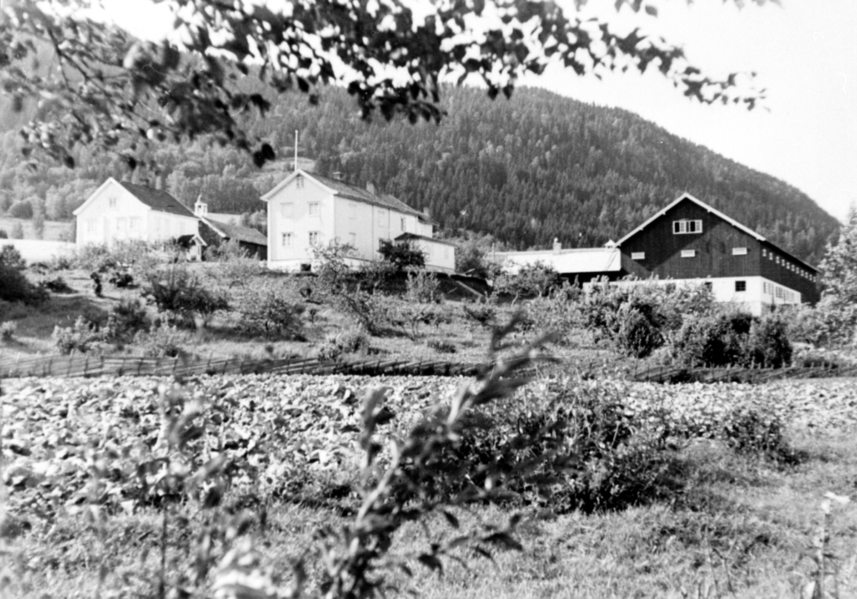 Anno Domkirkeodden, Eksteriør, gardsbruk, Nerlien, Lien nedre, Nes, Hedmark.