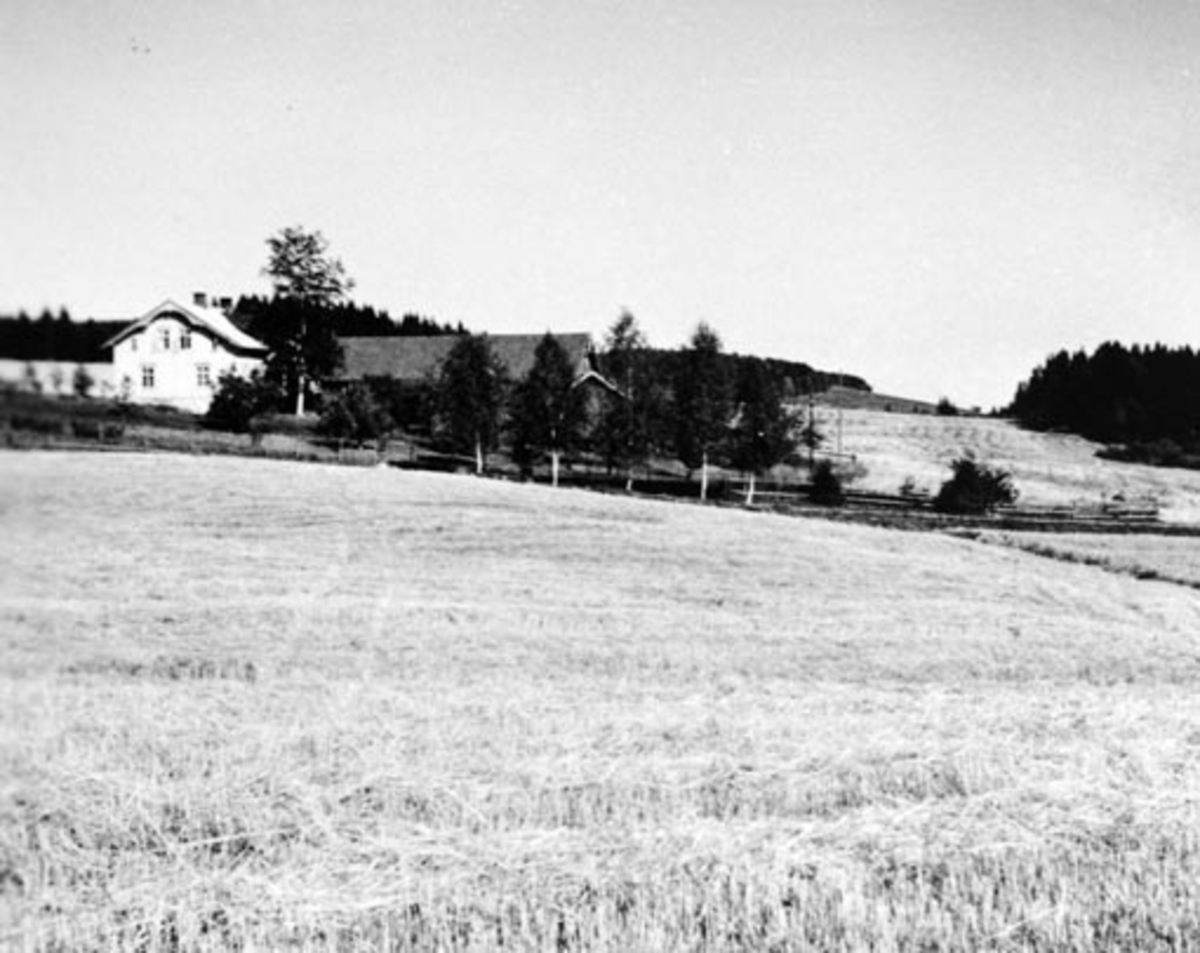 Anno Domkirkeodden, Eksteriør gardsbruk, Hulleberg øvre, Nes, Hedmark.