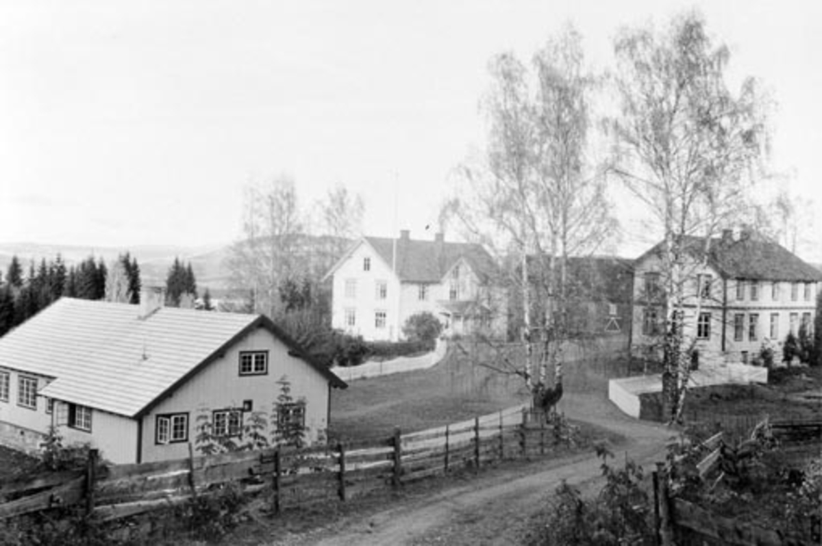 Anno Domkirkeodden, Eksteriør. Hagelund skole, Nes, Hedmark. Den gamle og nye skolebygningen.