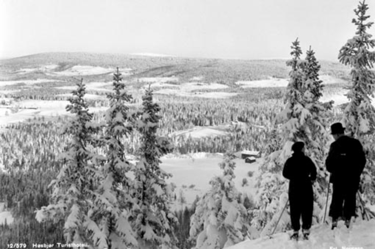 Anno Domkirkeodden, Utsikt fra Sletberget, Høsbjør mot Brumundkampen, 2 skiløpere i fogrunn, Furnes, Ringsaker.