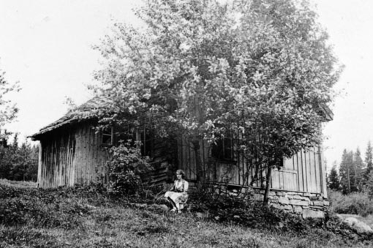 Anno Domkirkeodden, Eksteriør, husmannsplassen Einerstøen, Grefsheim, Nes, Hedmark.