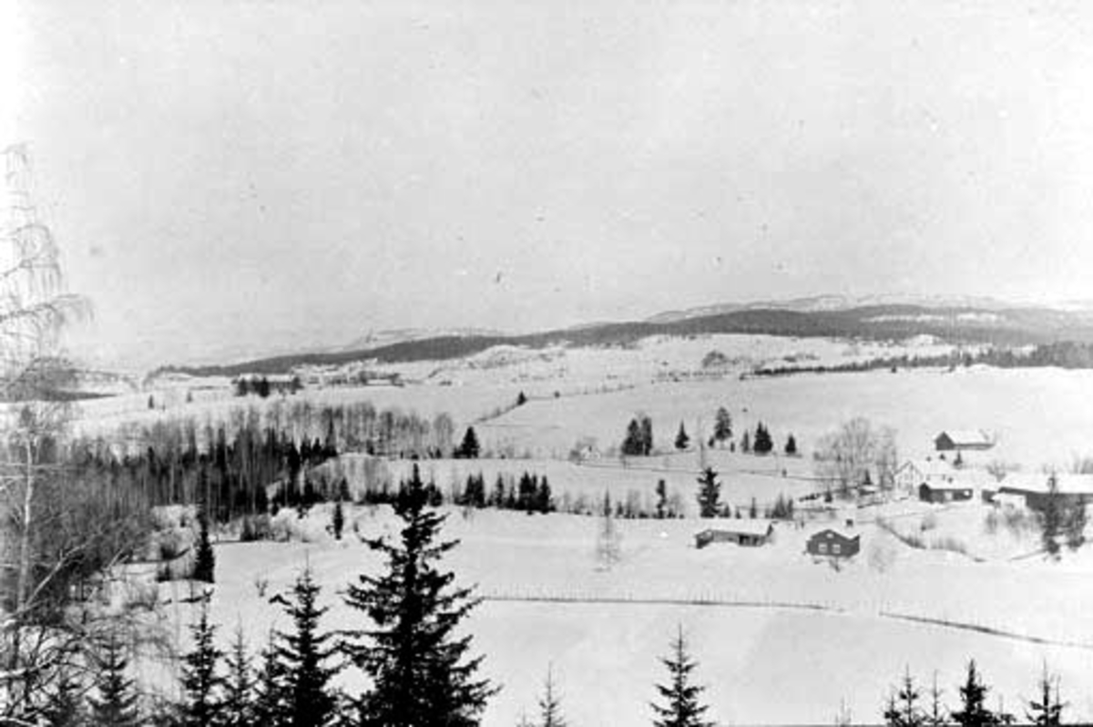 Anno Domkirkeodden, Utsikt fra Samsal mot Mariendal til høyre, Åshøgda, Ringsaker, vinter.