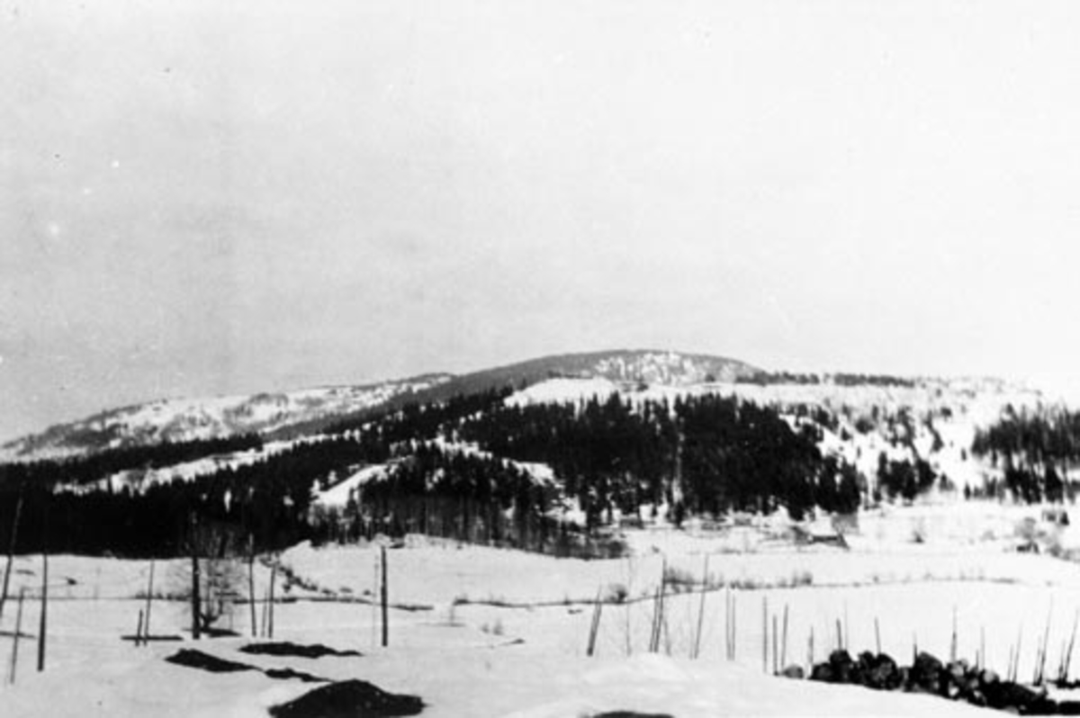 Anno Domkirkeodden, Utsikt fra Brumunddal mot Høsbjørkampen og Gresby gard, Furnes, Ringsaker.