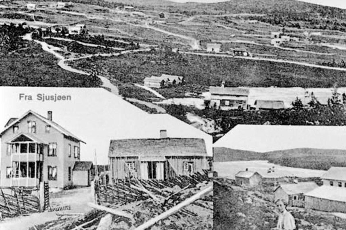 Anno Domkirkeodden, 3 delt postkort, motiver fra Sjusjøen, setervang, Gråten seter, Ringsakerfjellet.