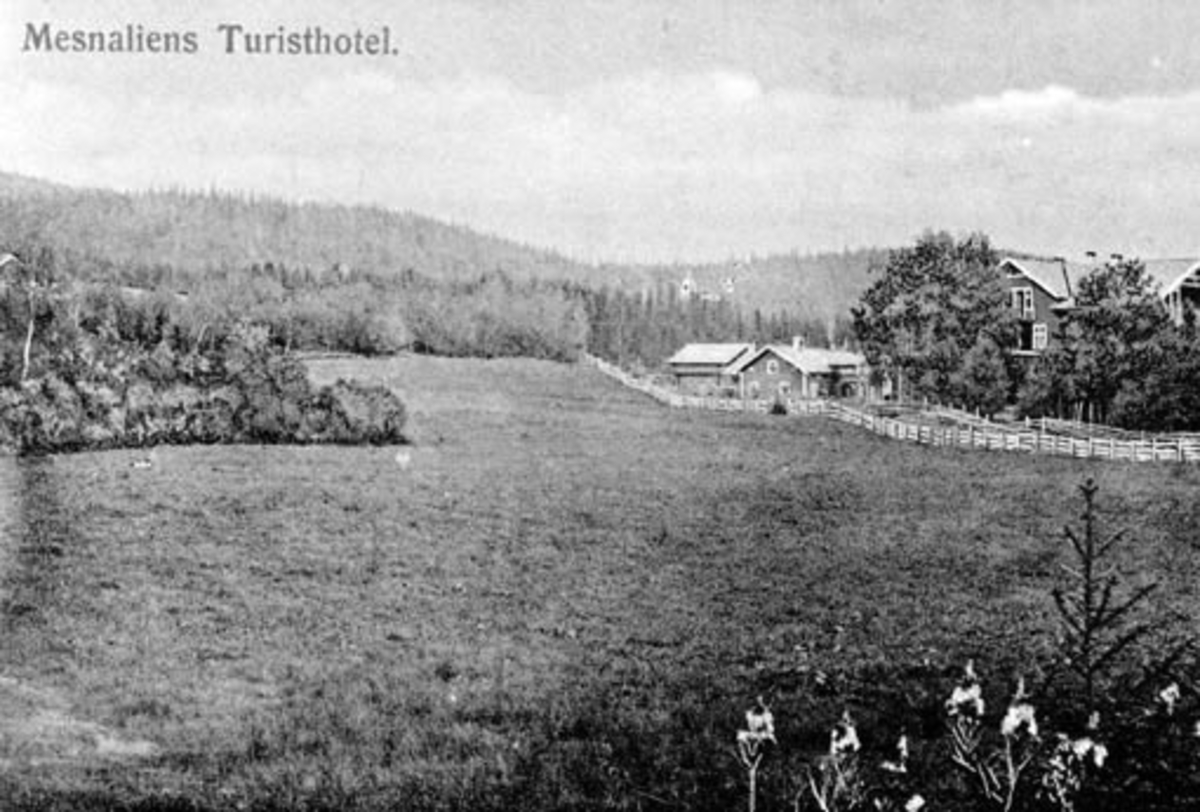 Anno Domkirkeodden, Mesnalia turisthotell, Sagstuen, landskap, Ringsaker.