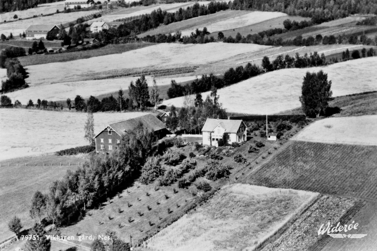 Anno Domkirkeodden, Flyfoto, gardsbruk, Vikhagen, Nes, Hedmark.