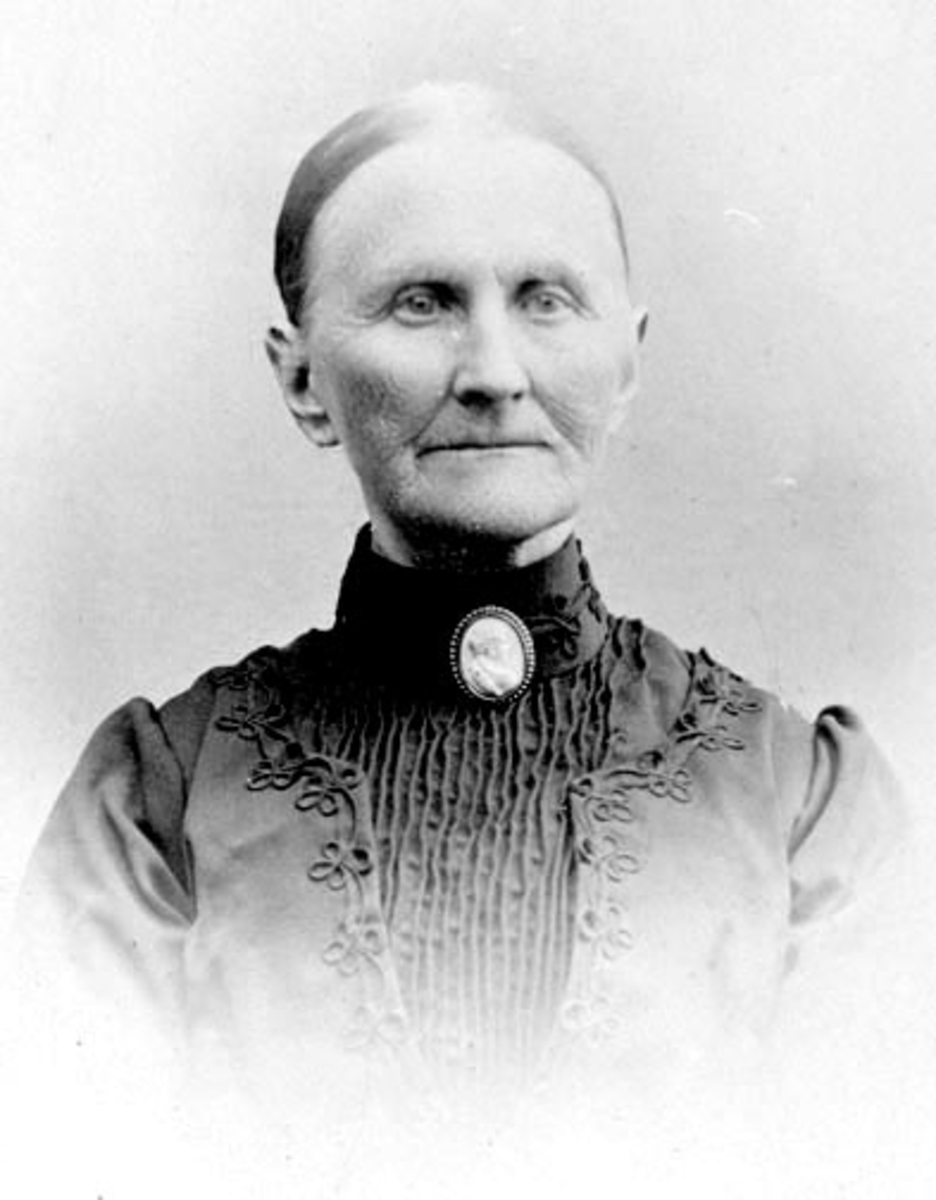 Anno Domkirkeodden, Anne Baldishoel (1830-1919), Nes Hedmark.