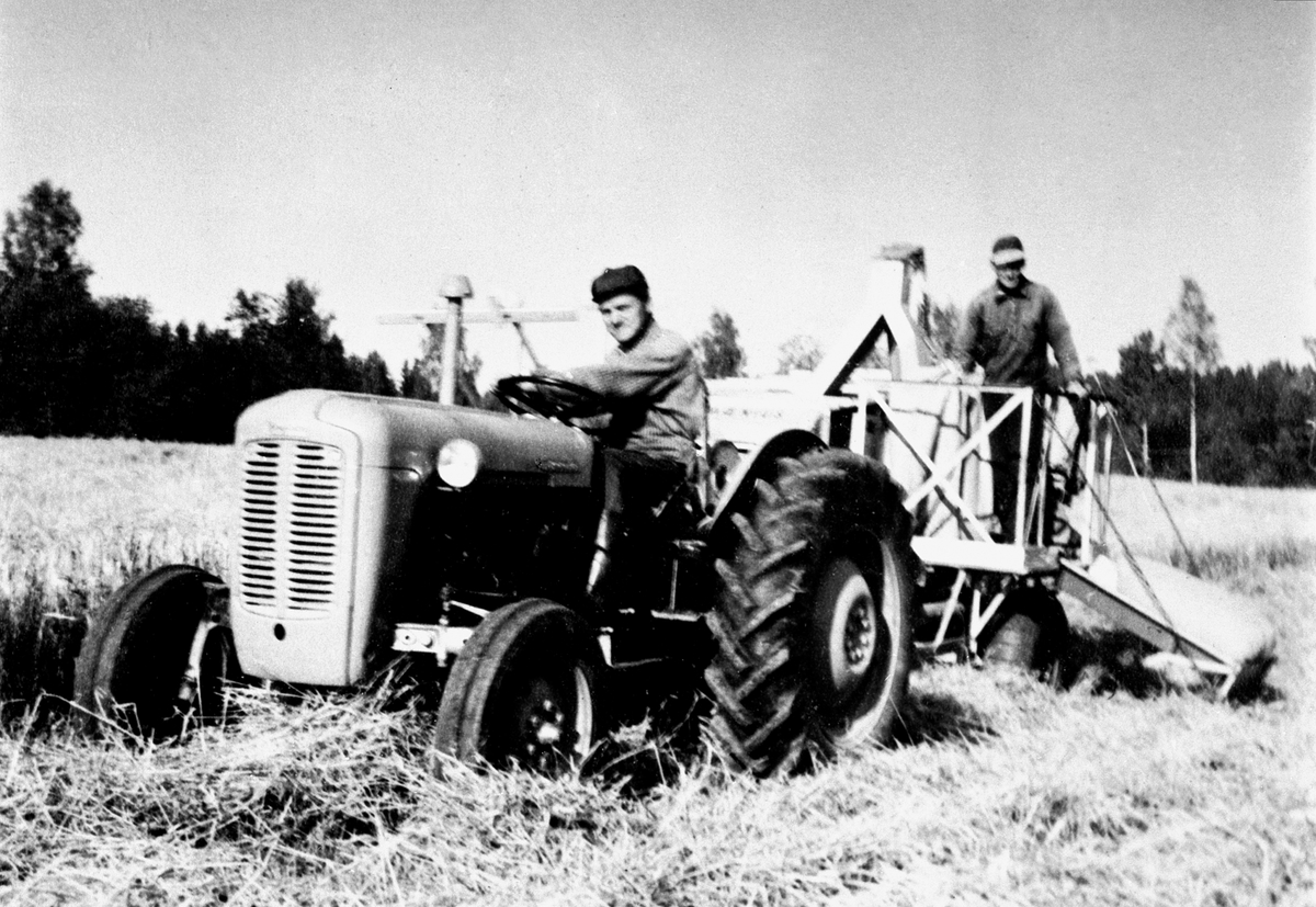 Anno Domkirkeodden, Skuronn på Sendstad, Nes, Hedmark. Ferguson traktor med slepetresker. Lennart Sendstad (1915-1987) kjører, Leif Karlsen (1928-1994) bak.