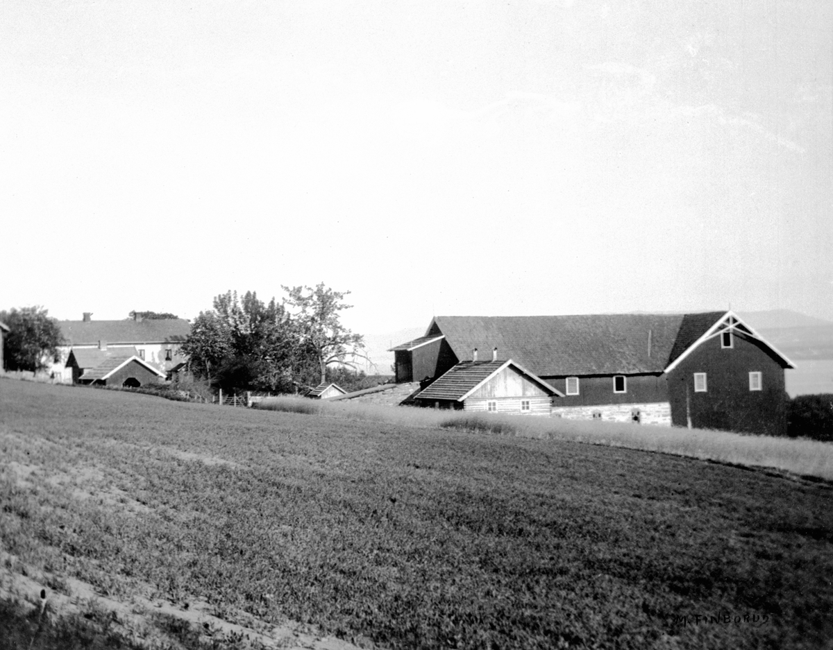 Anno Domkirkeodden, Eksteriør gardsbruk. Lie øvre, Nes, Hedmark. Hovedbygning brant i 1917, låven brant i 1939. Grishus i forkant.