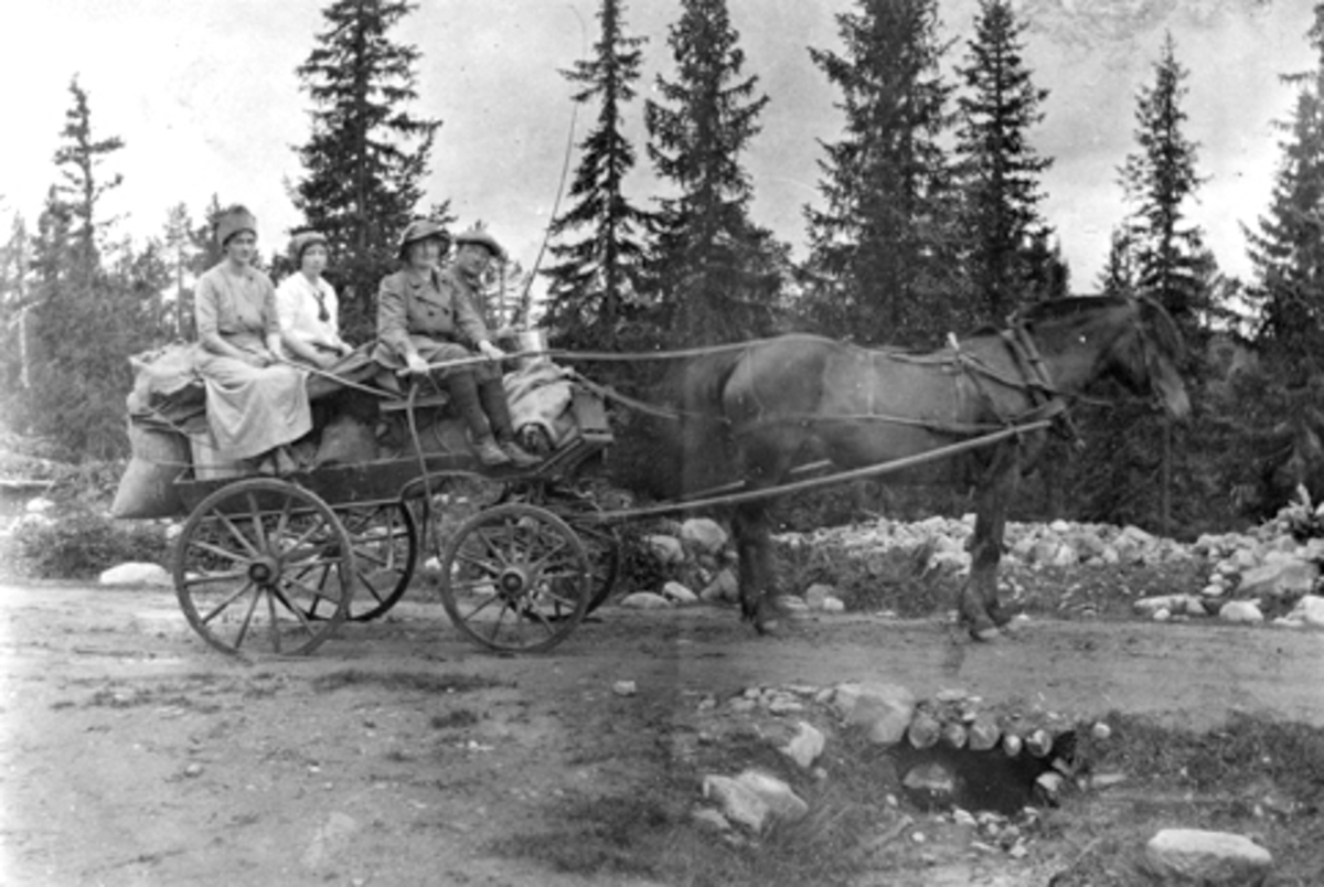 Anno Domkirkeodden, Hest med vogn på veg til fjells. Fire personer. Langmyhr. Ringsaker Almenning.