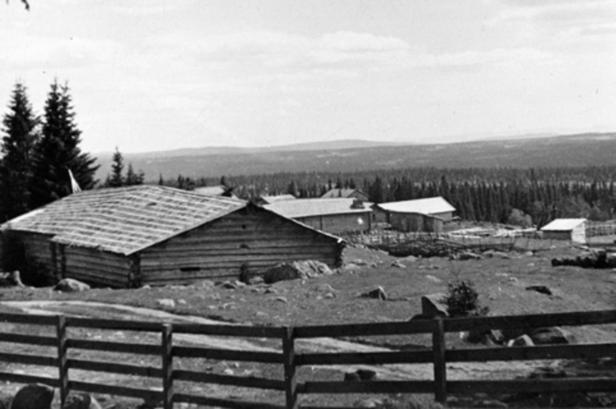 Anno Domkirkeodden, Bjønnåssetra, Ringsakerfjellet.