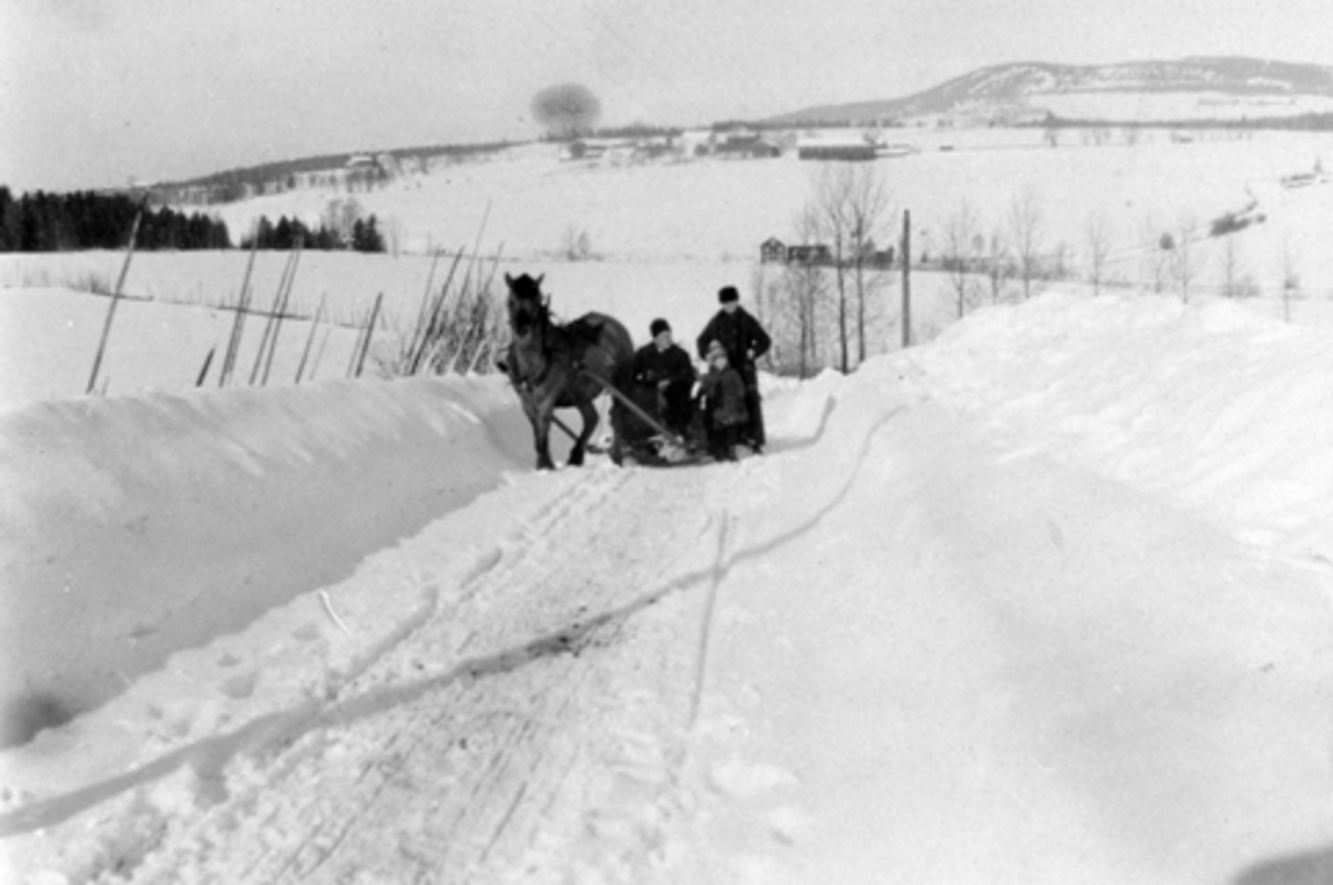 Anno Domkirkeodden, Hest, slede, hestekjøretøy, vinter, brøytekanter, Furnes. Gutua nord for Dæli gård (nord for Furnes kirka). Med Myrvoll nede i søkka, vegen opp mot Furnes aldersheim (og Kvalfeltet i dag) mot høyre bildekant, og låven på Hove Østre midt i bildet bakenfor