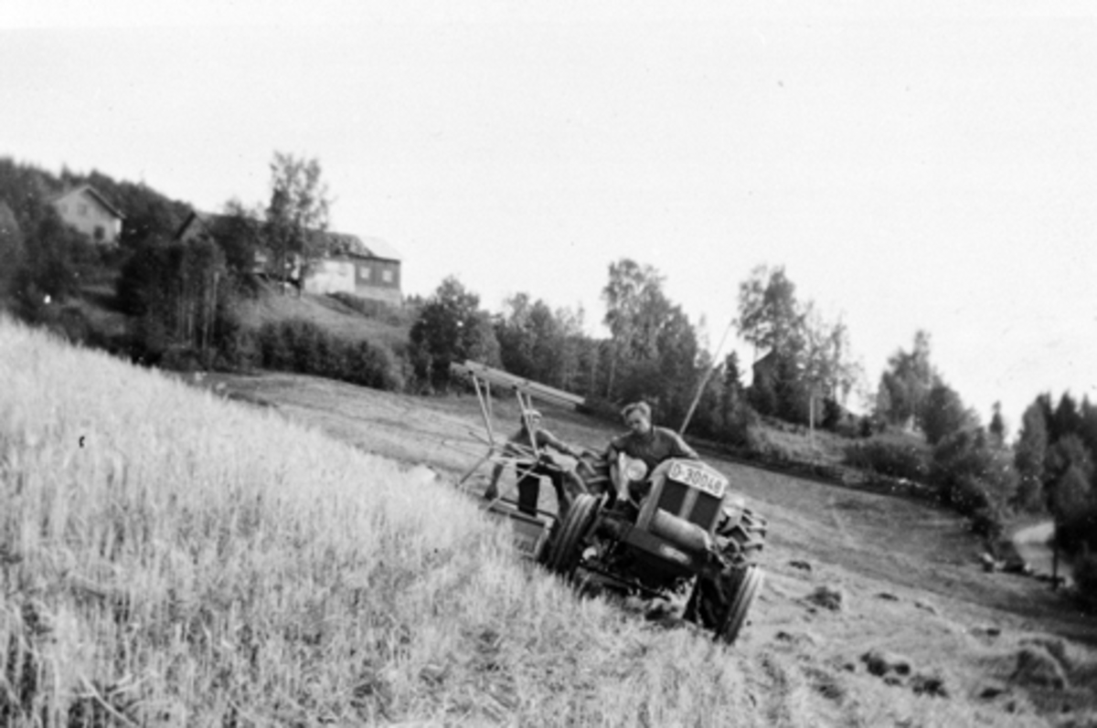 Anno Domkirkeodden, Skuronn i Brattenga, Furnes, Ringsaker. Fordson traktor med selvbinder.
