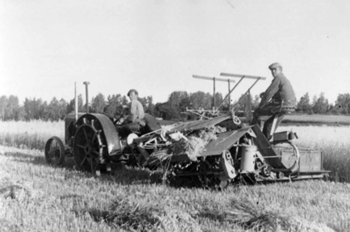 Anno Domkirkeodden, Skuronn på Jesnes øvre, Furnes, Ringsaker. Brødrene Andreas Jesnes f.1910 og Godbrand Haave trøsker havre med Aktiv selvbinder og Case jerntraktor.