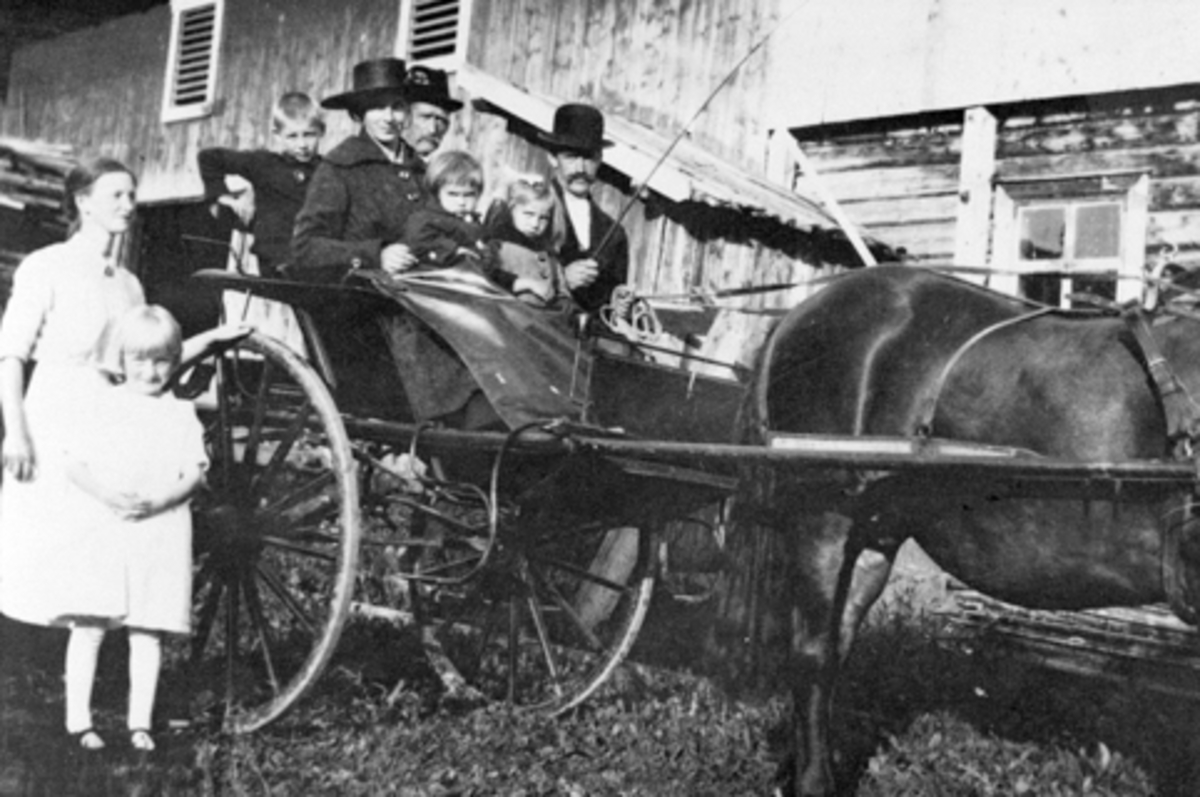Anno Domkirkeodden, Familie på besøk i Røsbak, Furnes, Hedmark. Hest med trille. Fra venstre er Olave Brekke, Kirsten Brekke, Ellen Åset, Johannes Nystuen, Oddbjørg Aaset, Aslaug Aaset, Kristian Aaset.