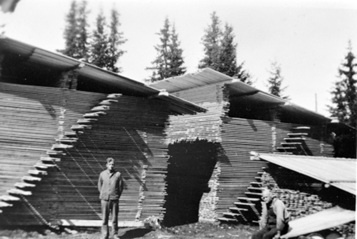 Anno Domkirkeodden, Plankestabler for tørking på Elvstusaga, Furnes Almenning. Peder Tåsåsen og Lars Høgsveen foran.