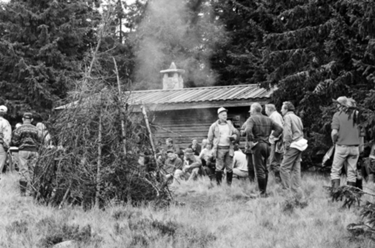 Anno Domkirkeodden, Befaring, Ruskåsen, Furnes Almenning.