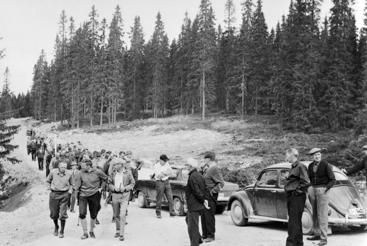 Anno Domkirkeodden, Befaring, Furnes Almenning.