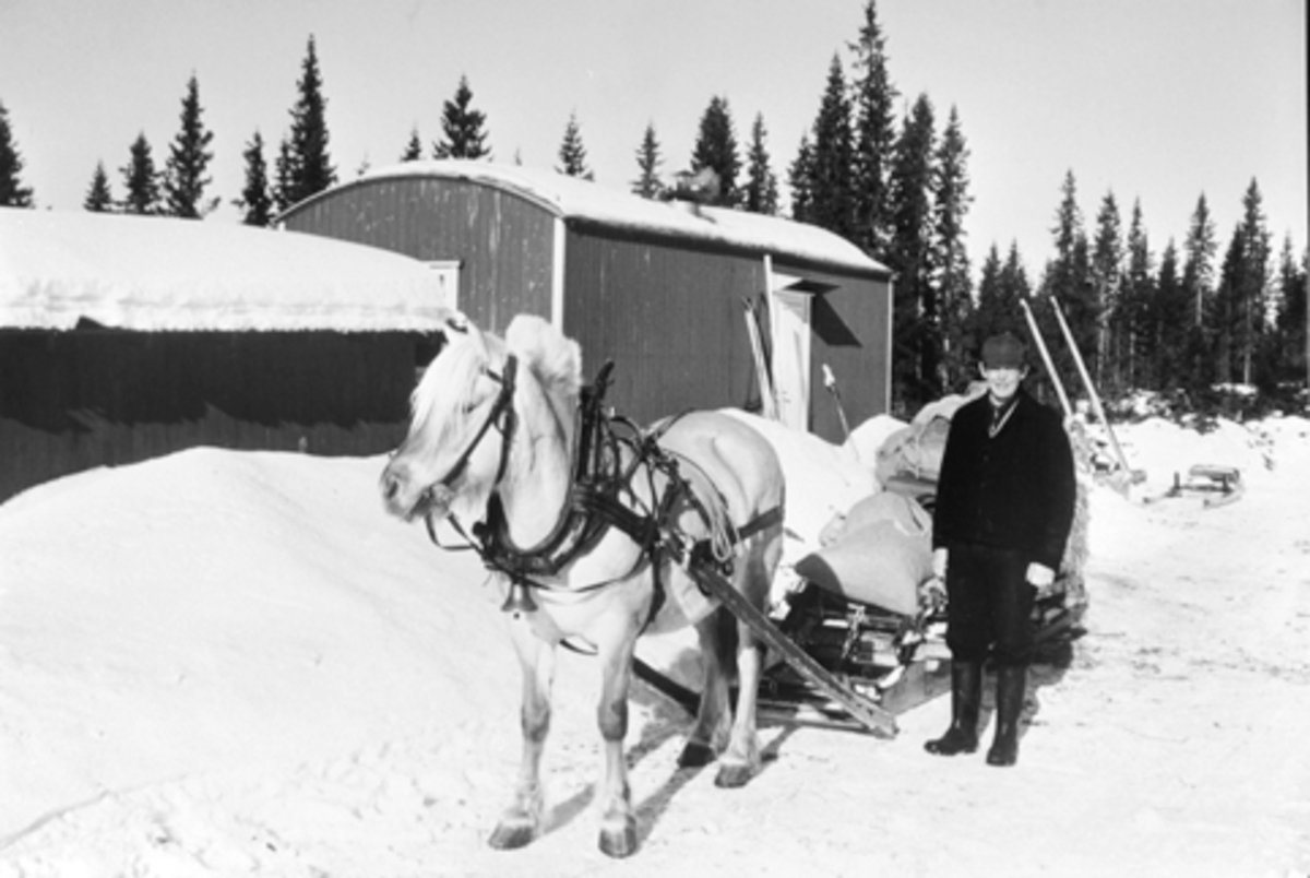 Anno Domkirkeodden, Furnes Almenning. Mann med hest og rustning foran tømmerkoie. Hestefor på lasset.