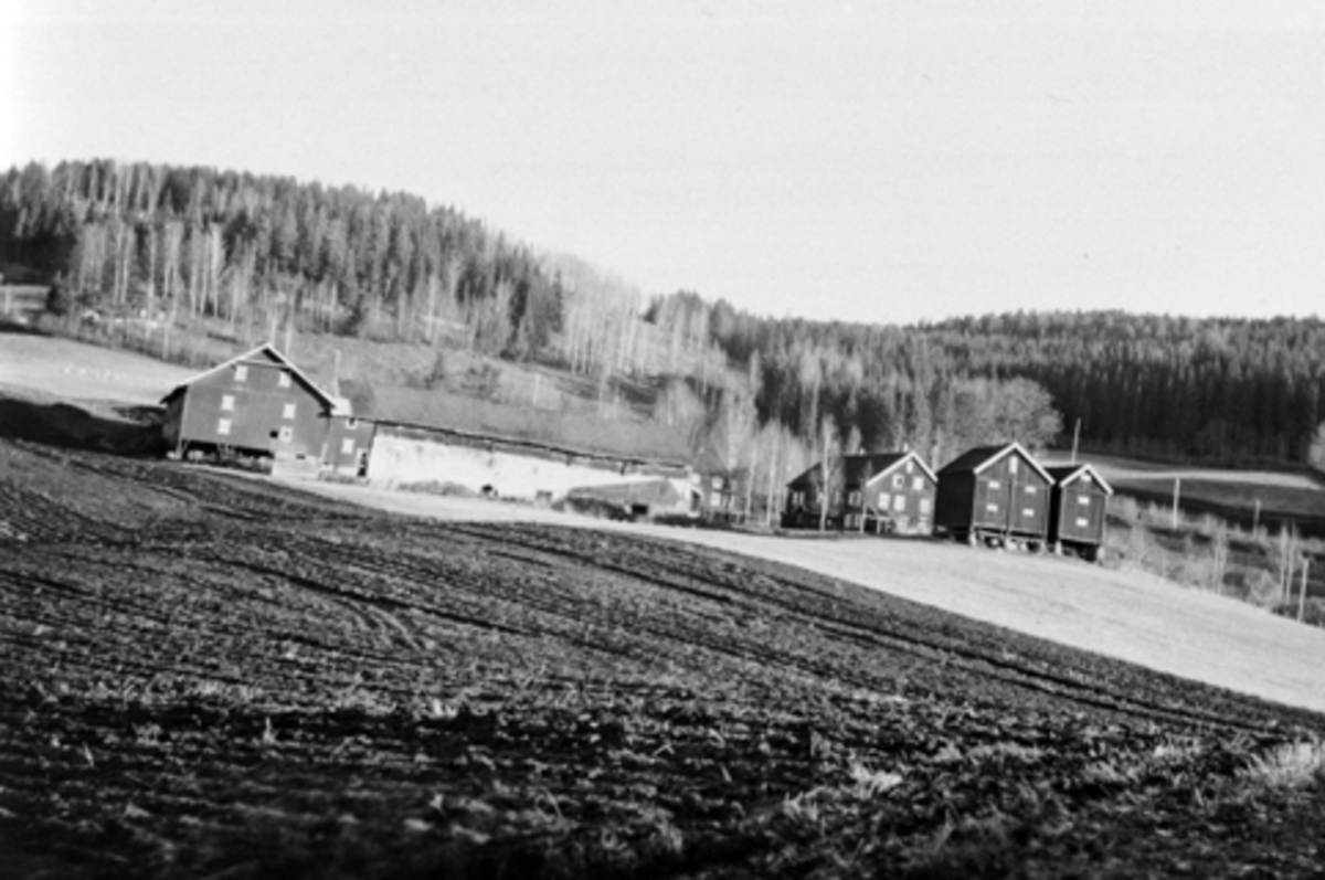 Anno Domkirkeodden, Eksteriør. Dæli gård, Brøttum, Ringsaker. Sett fra sør. Låve, fjøs, drengestue, hovedbygning, to stabbur.