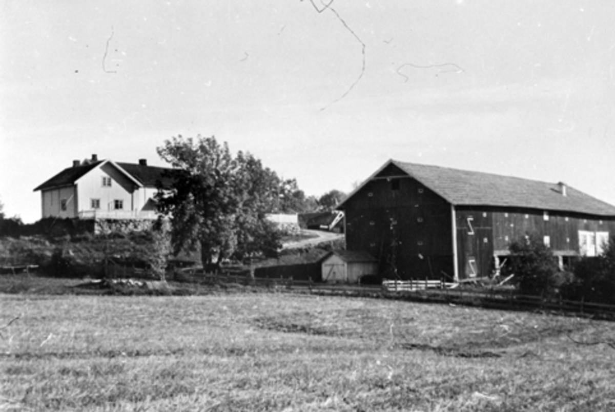 Anno Domkirkeodden, Eksteriør, gardsbruk. Tveiter, Stavsjø, Hedmark. Føderådsbygning, hovedbygning og låve.