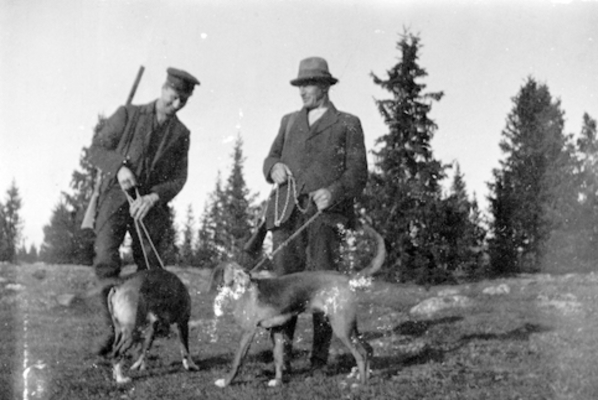 Anno Domkirkeodden, 2 ukjente jegere med våpen og hunder på Storstilen, Ringsakerfjellet.