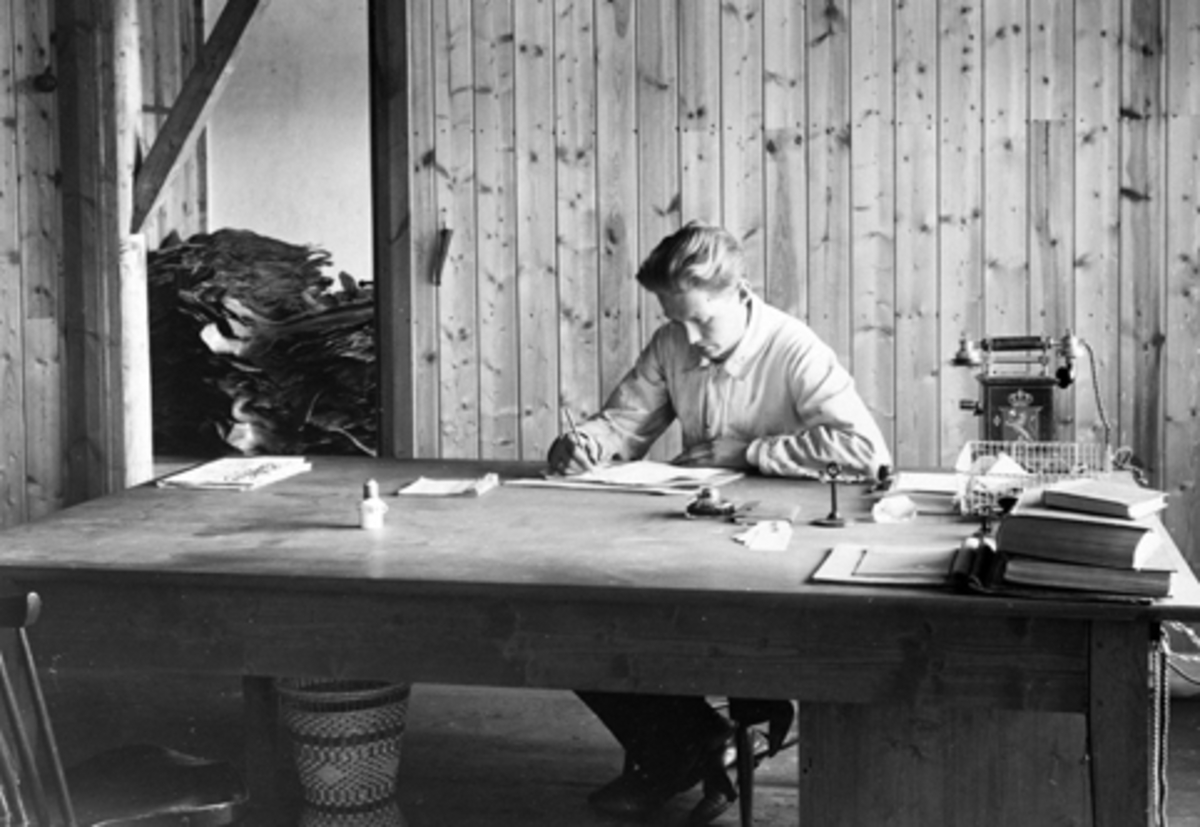 Anno Domkirkeodden, Bruvold mølle, lærfabrikken, i Moelv. Ivar Sundgaard ved kontorpulten, han overtok mølla etter sin far, Hans Sundgaard i 1930. Bygde ny lærfabrikk i 1925. Fra 1937 til 1955 var fabrikken bortleid til Johs, Lunde i Oslo.