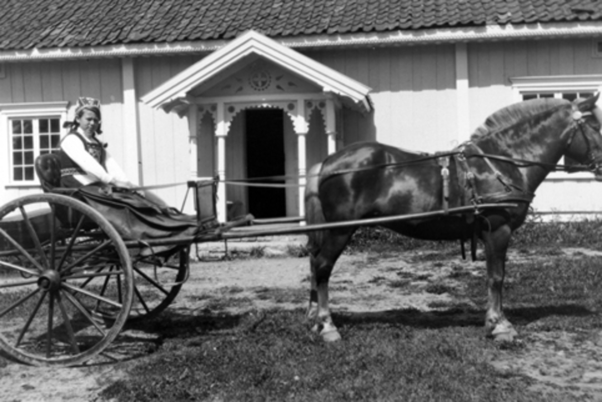 Anno Domkirkeodden, Marie Lier iført hardangerbunad sitter i karjol bak hesten "Sussen" på Mørkved store, Ringsaker i 1914.