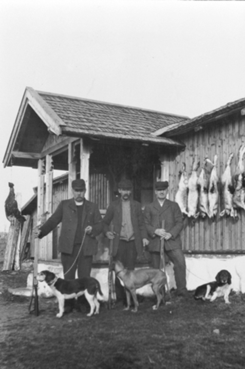Anno Domkirkeodden, Harejeger på Nysetra, Øyungen i 1918. Fra venstre er Thore Lier, Sigvart Jovall og Ola Andersen med hunder og våpen