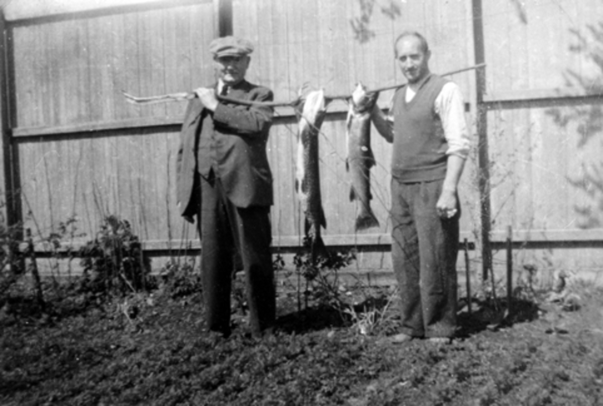 Anno Domkirkeodden, Fra venstre er Severin Larsen og Guttorm Lehne med gjedde og ørret. Larsen var pastor i Baptistkirken og Lehne var drosje-eier. Ca. 1950.