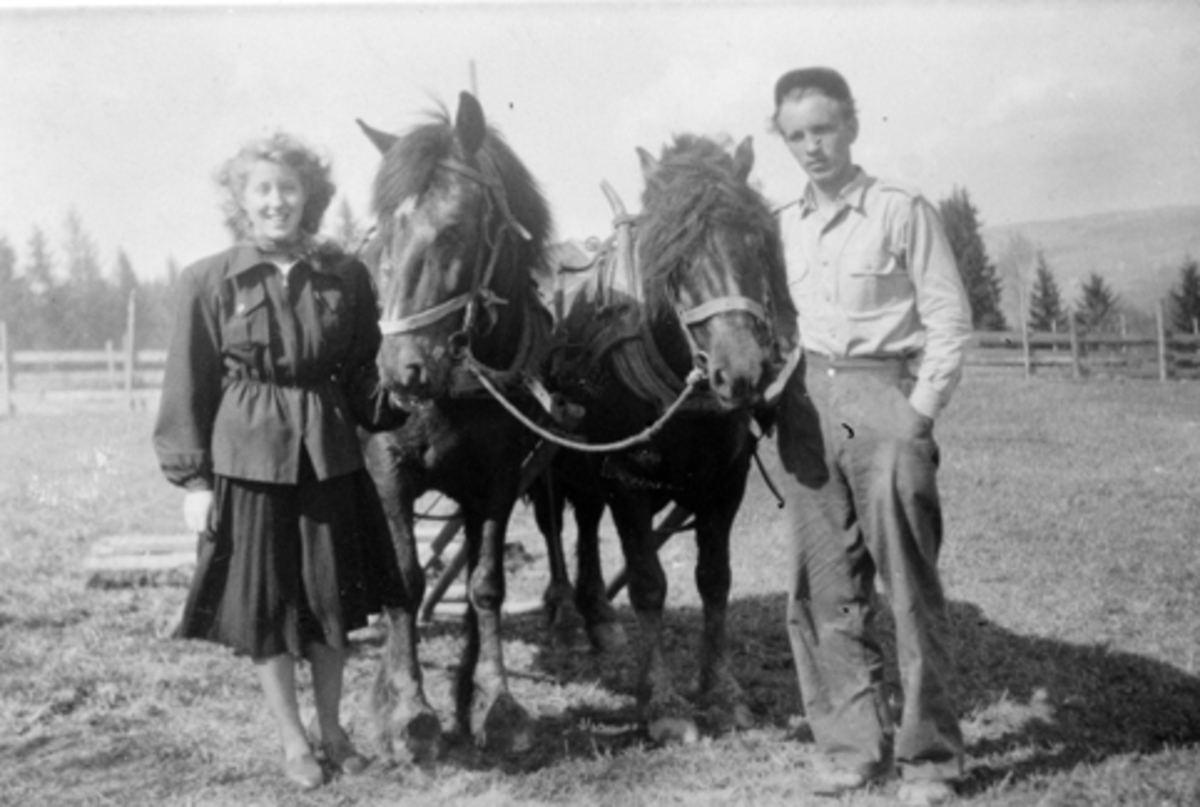 Anno Domkirkeodden, Solveig Lehne (gift Bakken) og Odmar Bakken med tospann hester og slådd. Trolig Bakken, Veldre. (Gnr. 19/6).